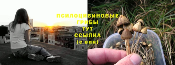 шишки Алексин