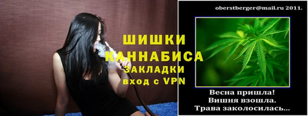 дживик Заводоуковск