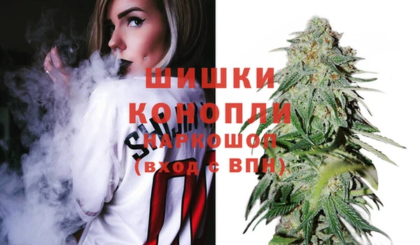 шишки Алексин